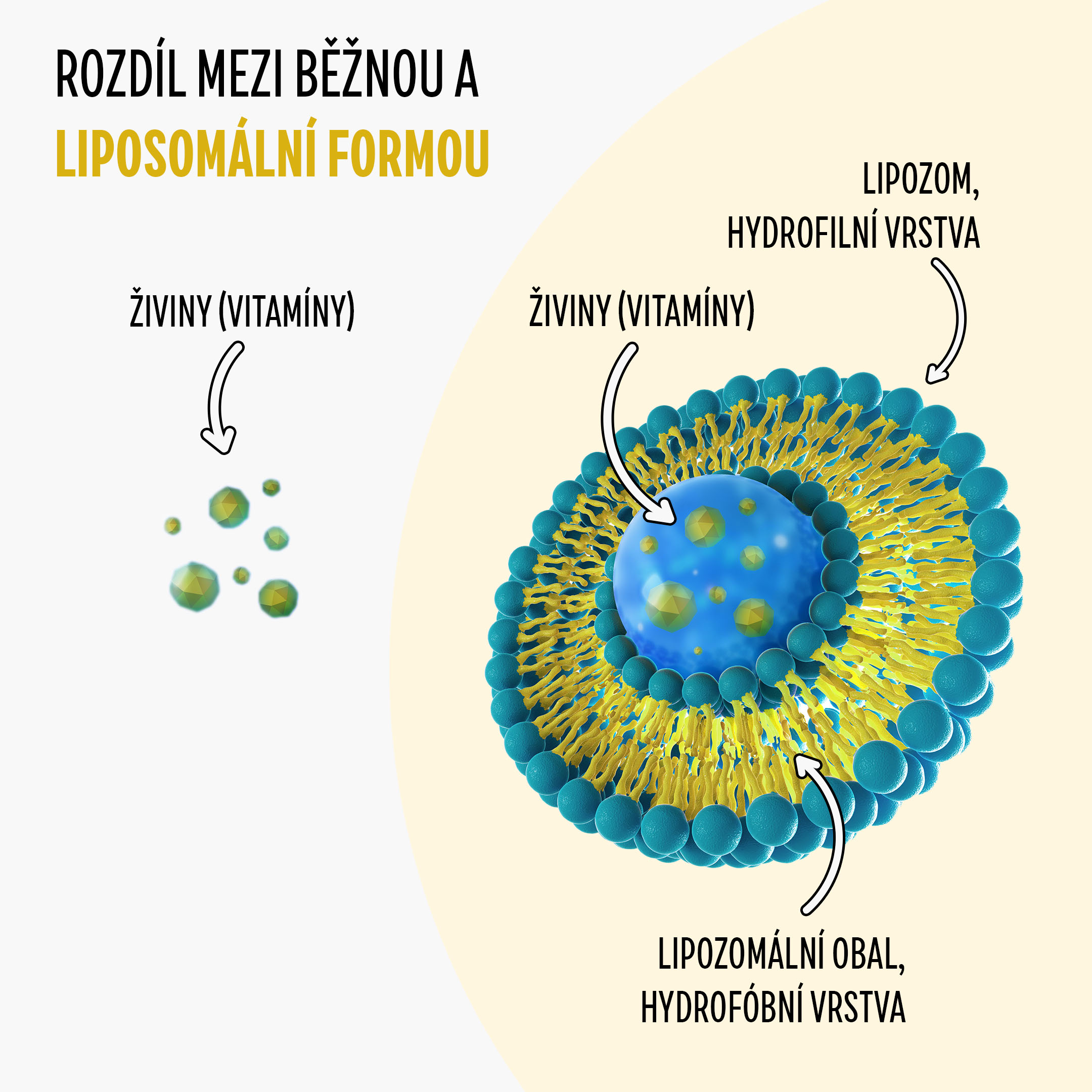 lipozomal beauty